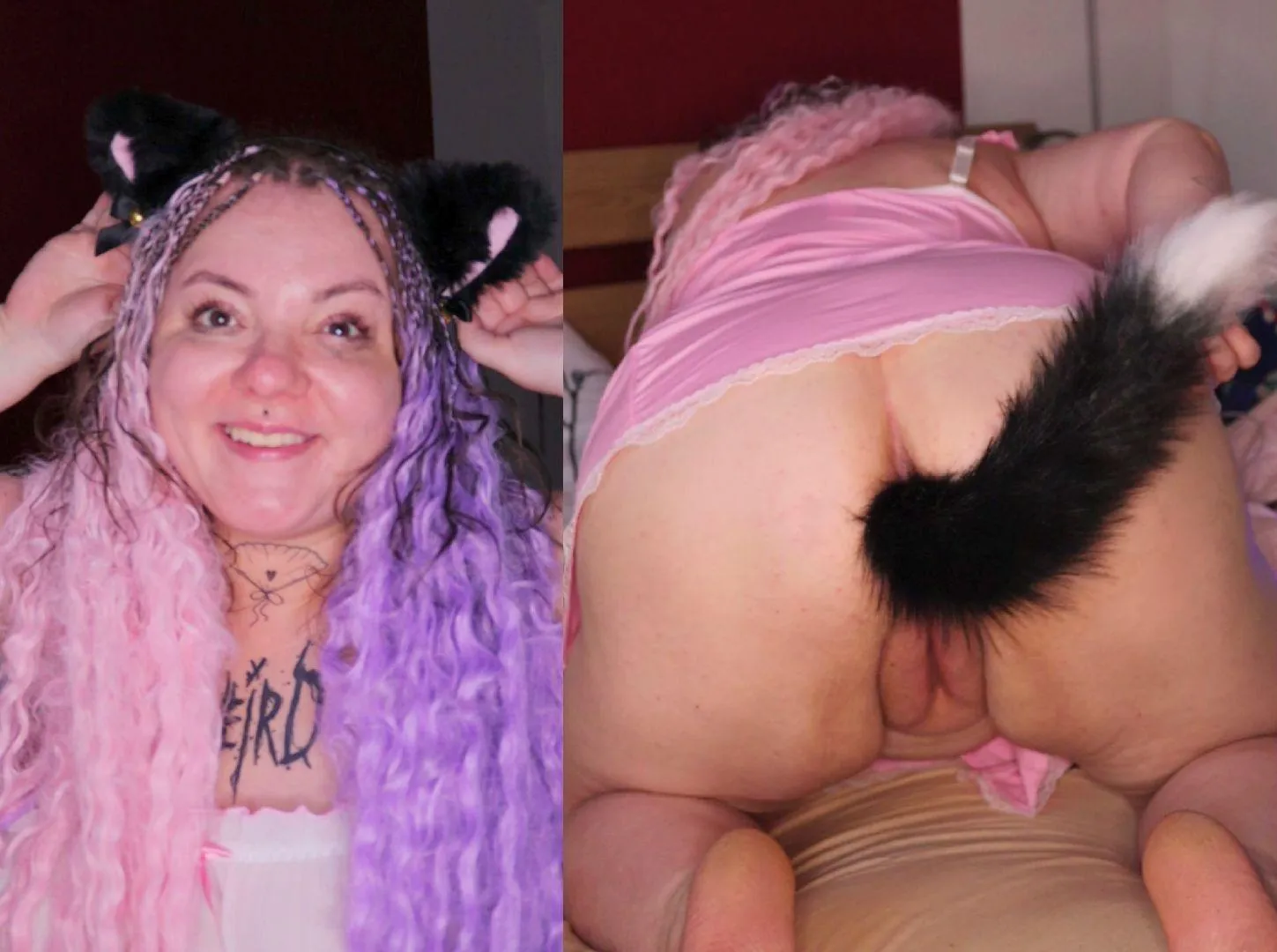 This naughty kitty deserves some pets