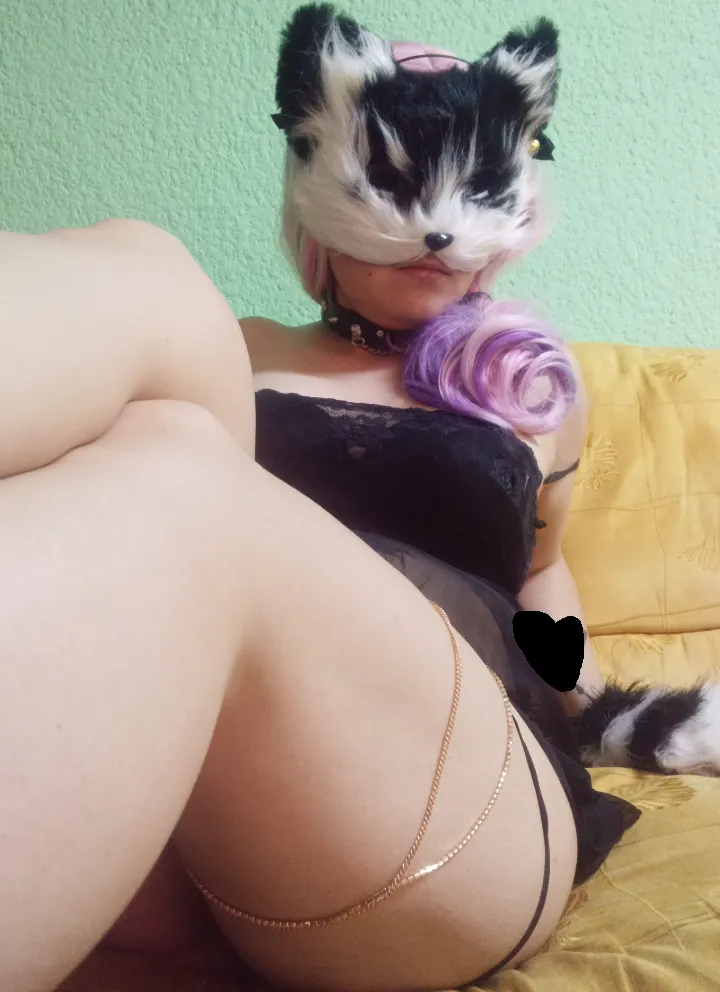 What would you like to do today?