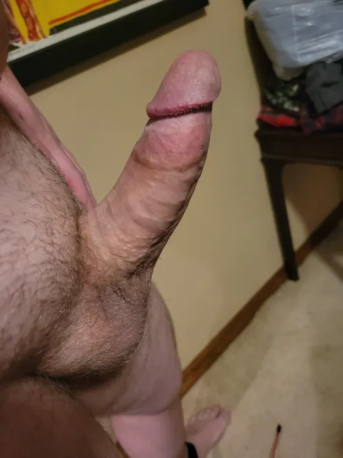 Love to show this guy off