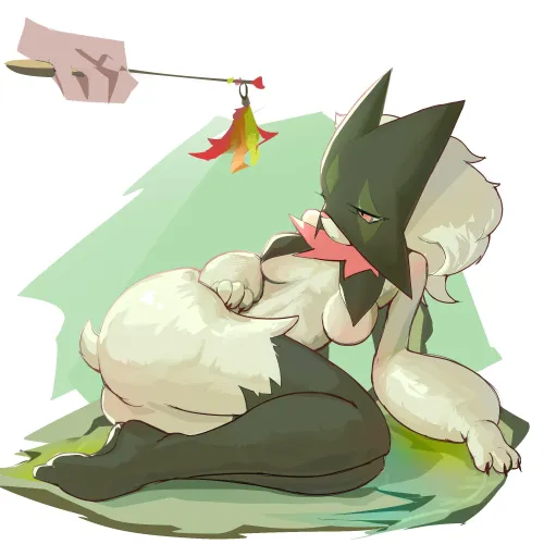 The dog isn't interested :( (zbzone)