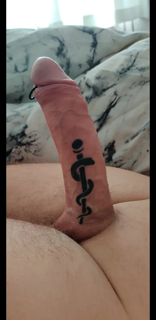 The snake on my snake, the rod on my rod.