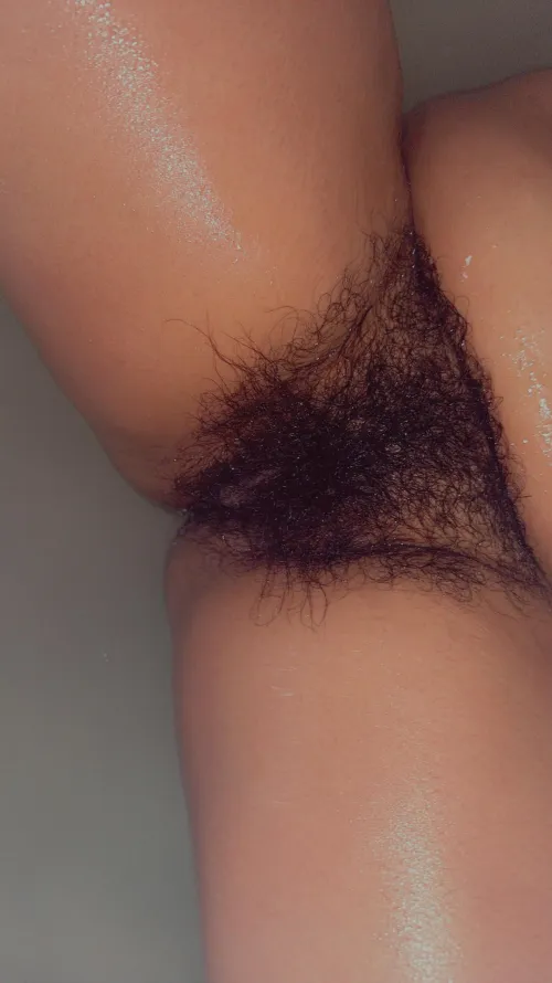 Who can handle this natural bush in [VA]?