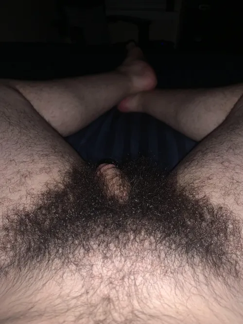 (24) Small but very hairy