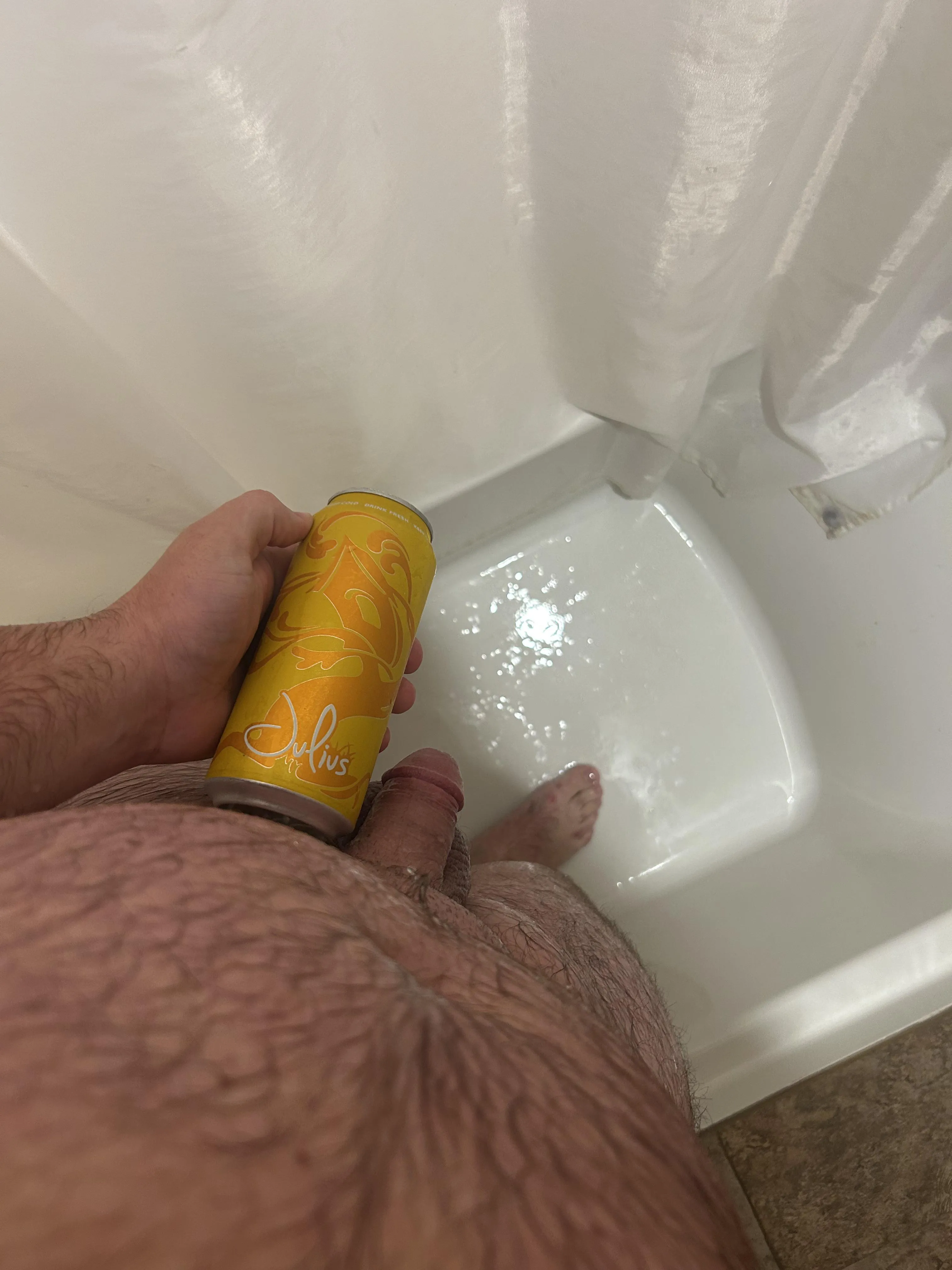 Dad bod and Tree House