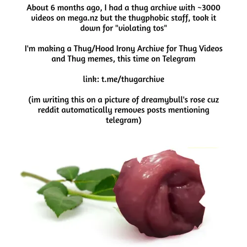 Thug Archive (more info in pic)