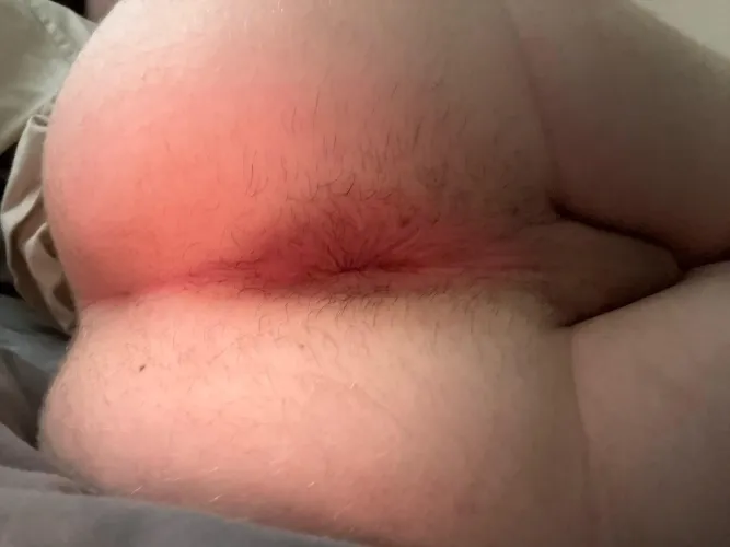 18 m looking for someone to breed me asap