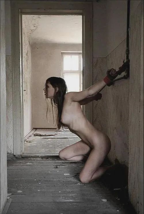 25 [M4F] #Online Dom looking for Misogynistic Humilation loving pet to Own