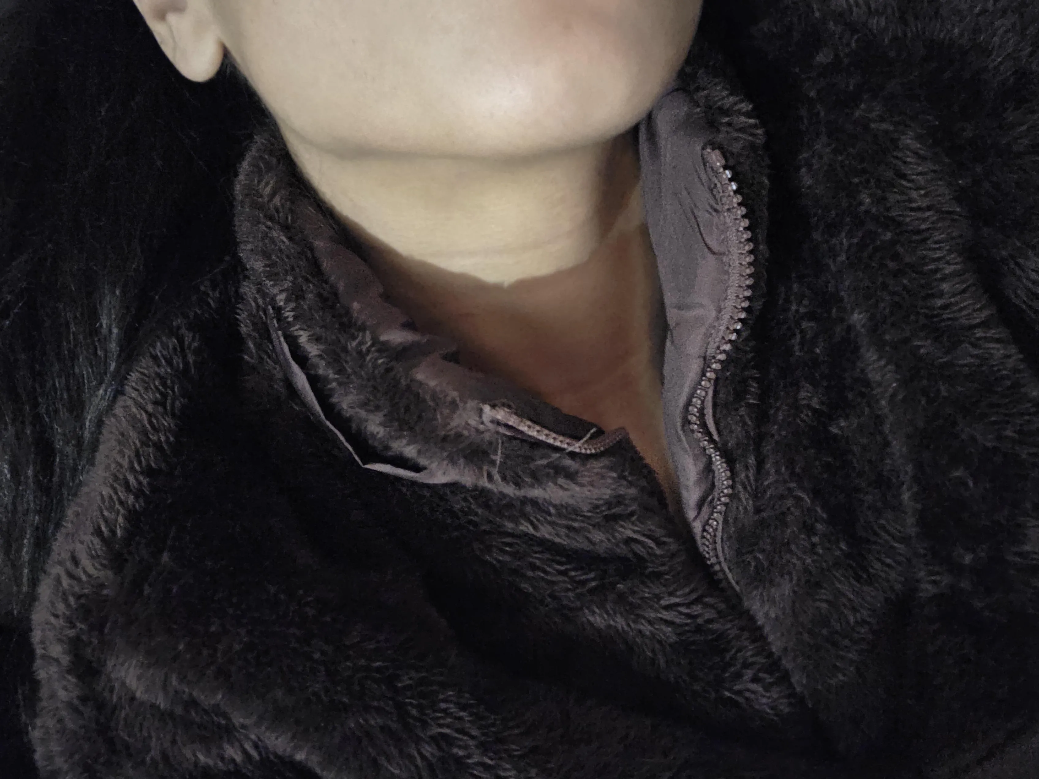 Another day being a teddy