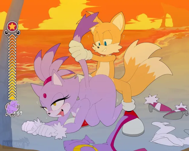 Blaze the cat Fucked by Tails under the sunset on the beach