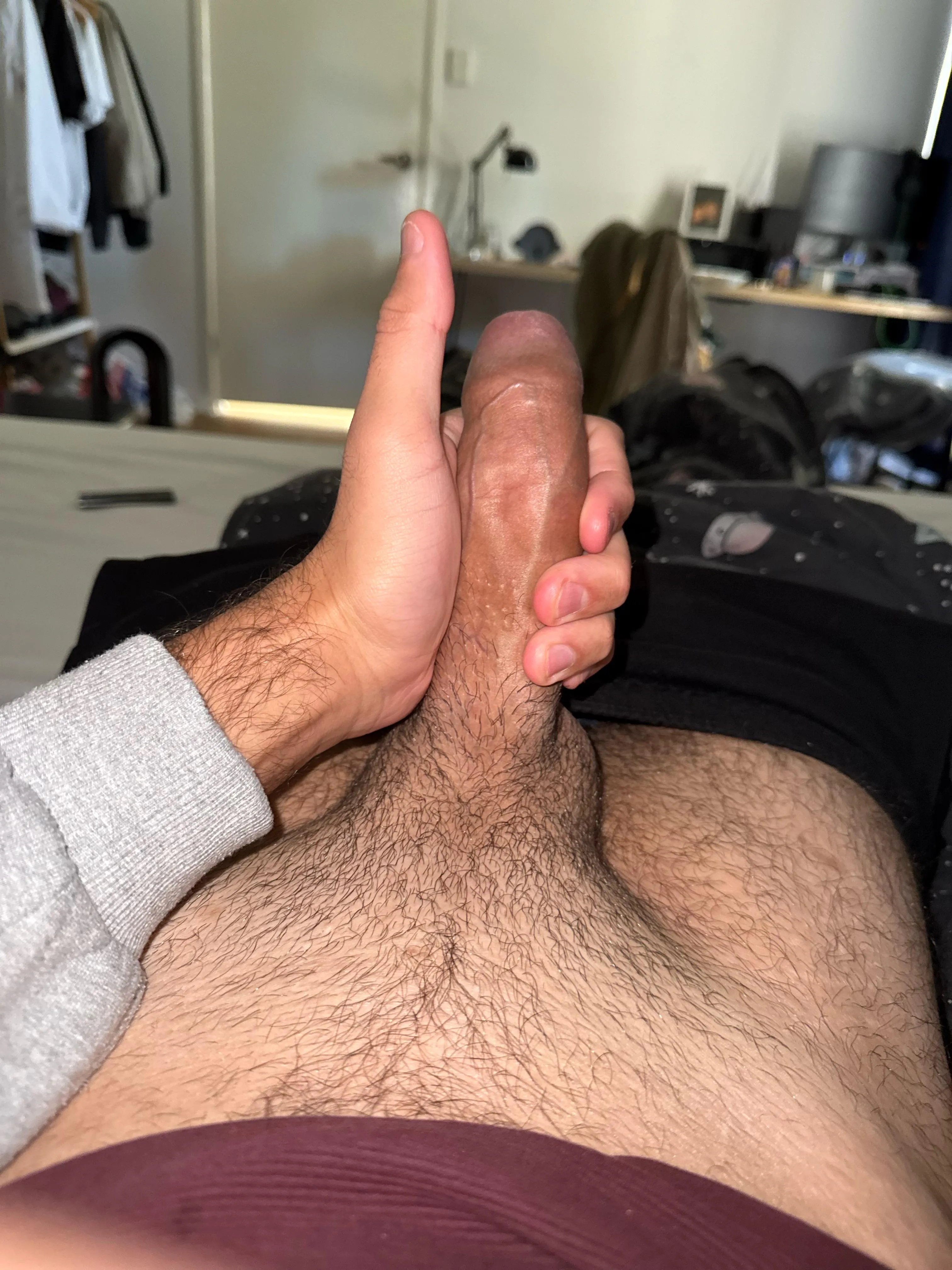 Dtf 19M bi