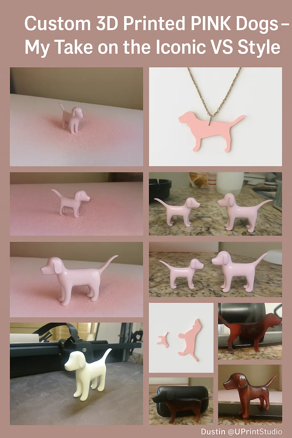 🐾 Hey Pink Nation 💕