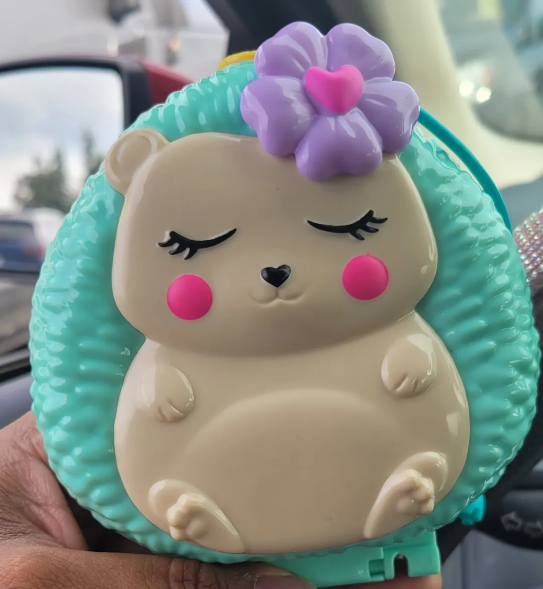 I got the Polly Pocket Hedgehog Cafe!!