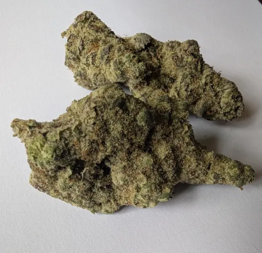 Sour diesel Cali gold farm