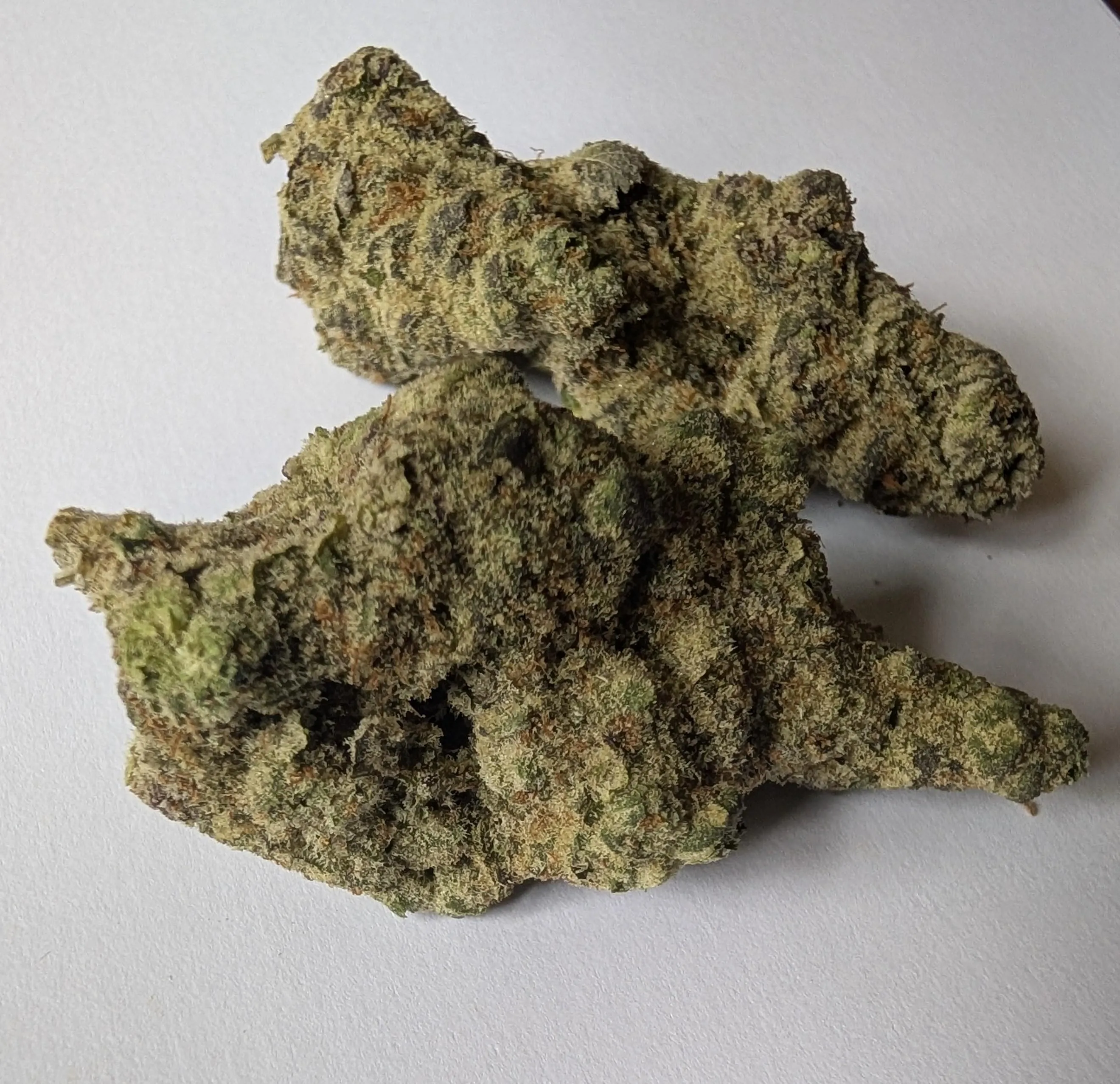 Sour diesel Cali gold farm