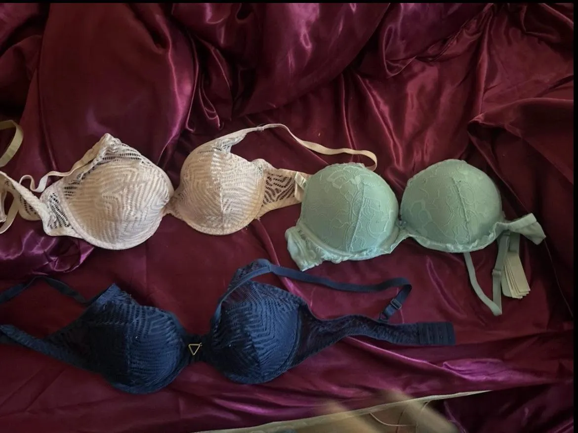 Which is your favourite?