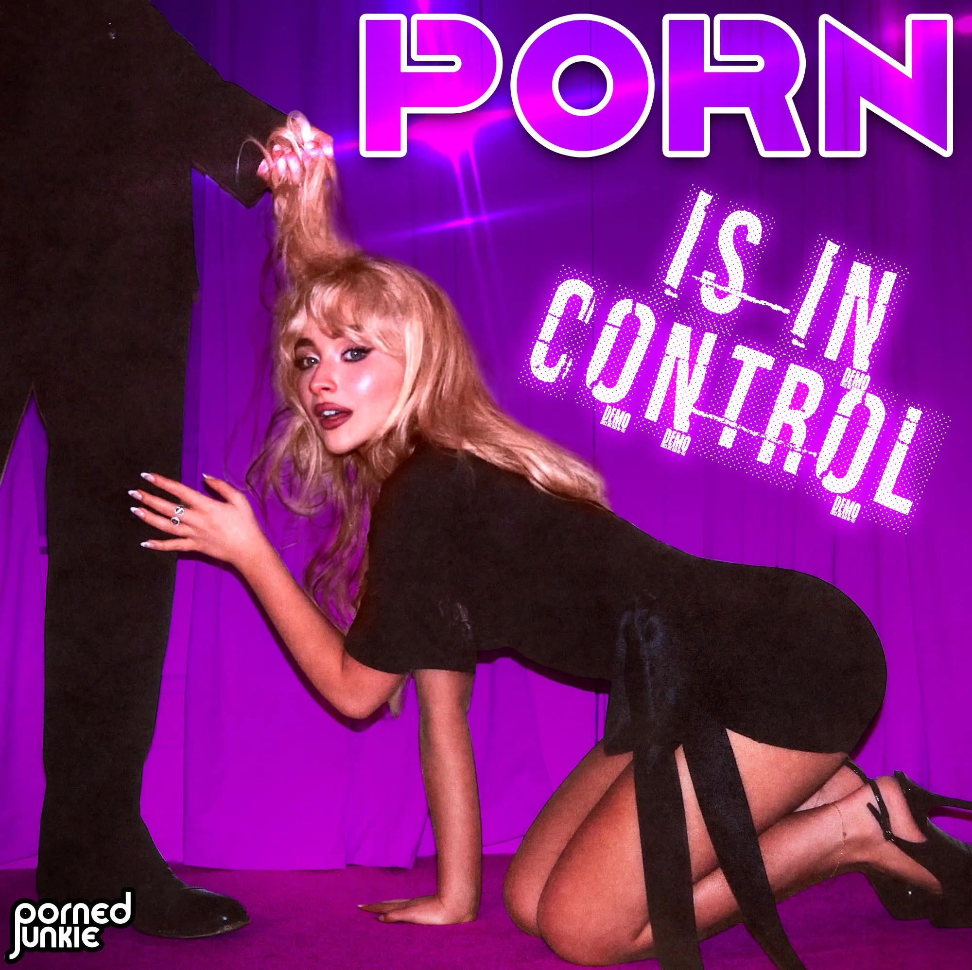 Porn directs culture