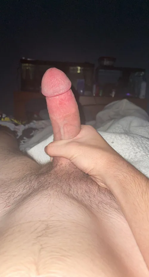 what would you send back to this