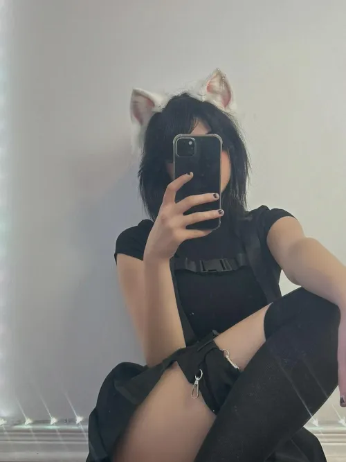 will you pet me or will you play rough?