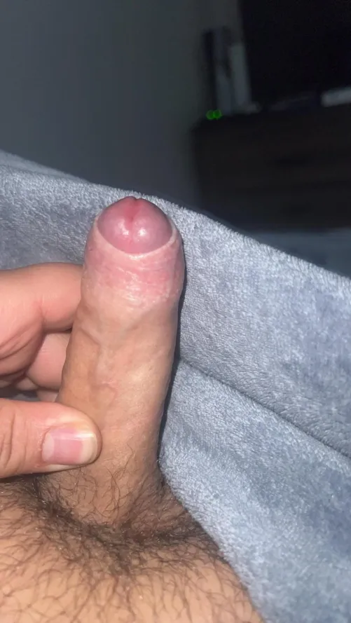 20 Chub in Murfreesboro