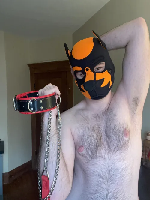 *clicks collar into place* Don’t worry about that puppy, you look so cute in your new collar, take another deep breath of my scent and relax……