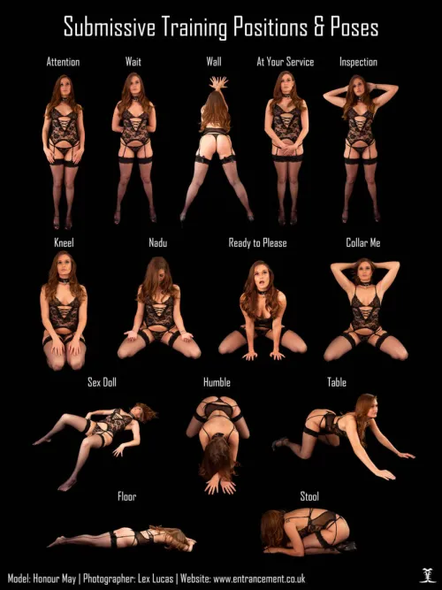 For interested submissive ladies in the audience, a beginner's guide (a quick training reminder)