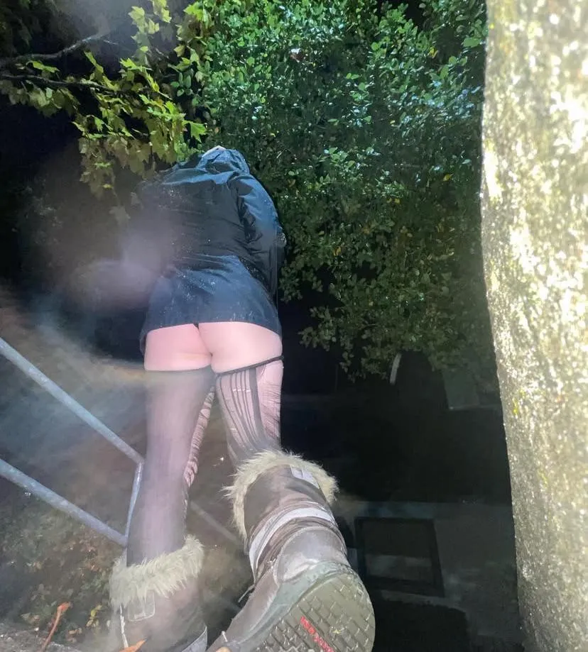 Meetups right now Santa Rosa