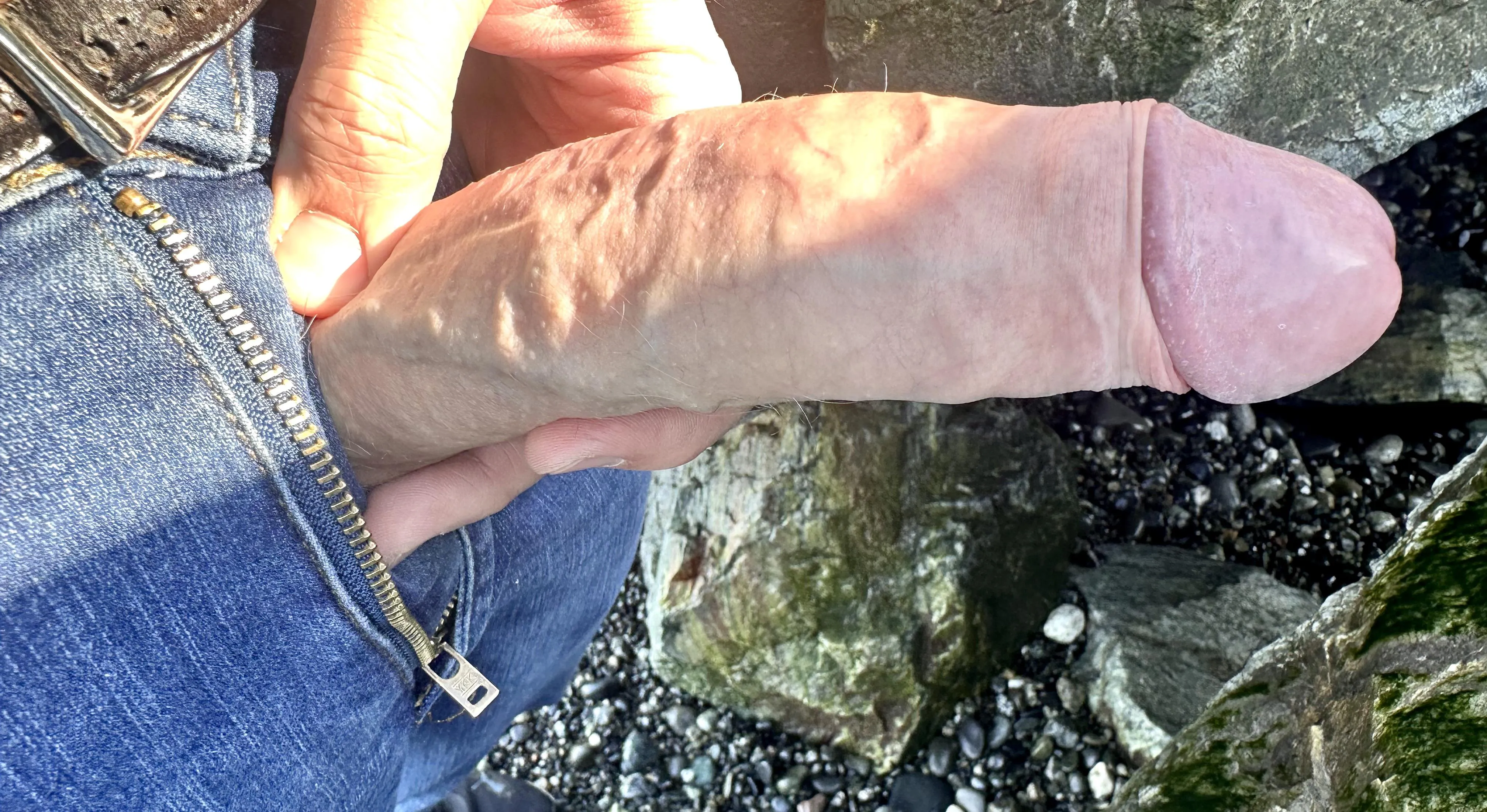 Sunny day at Point Whoronzof…