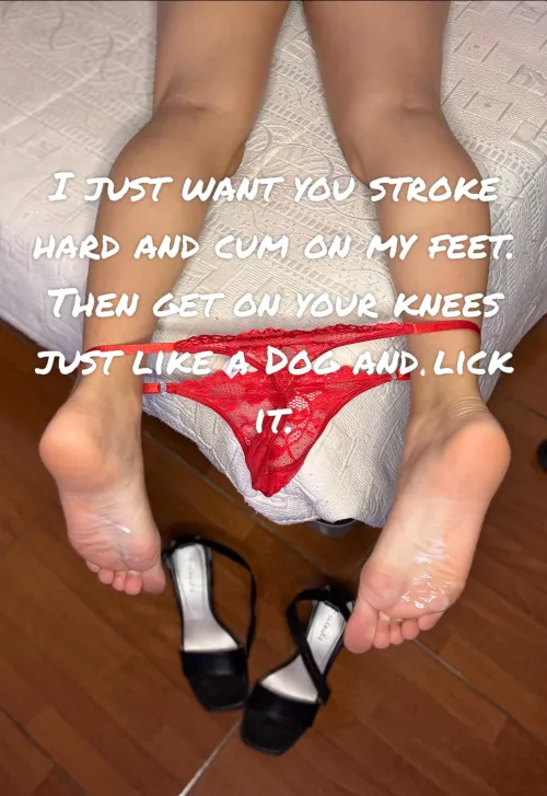 Will obey and do it?