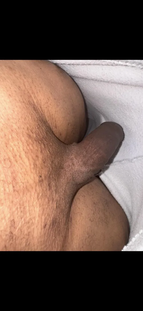 (M33) Frisch rasierter Alpha cock