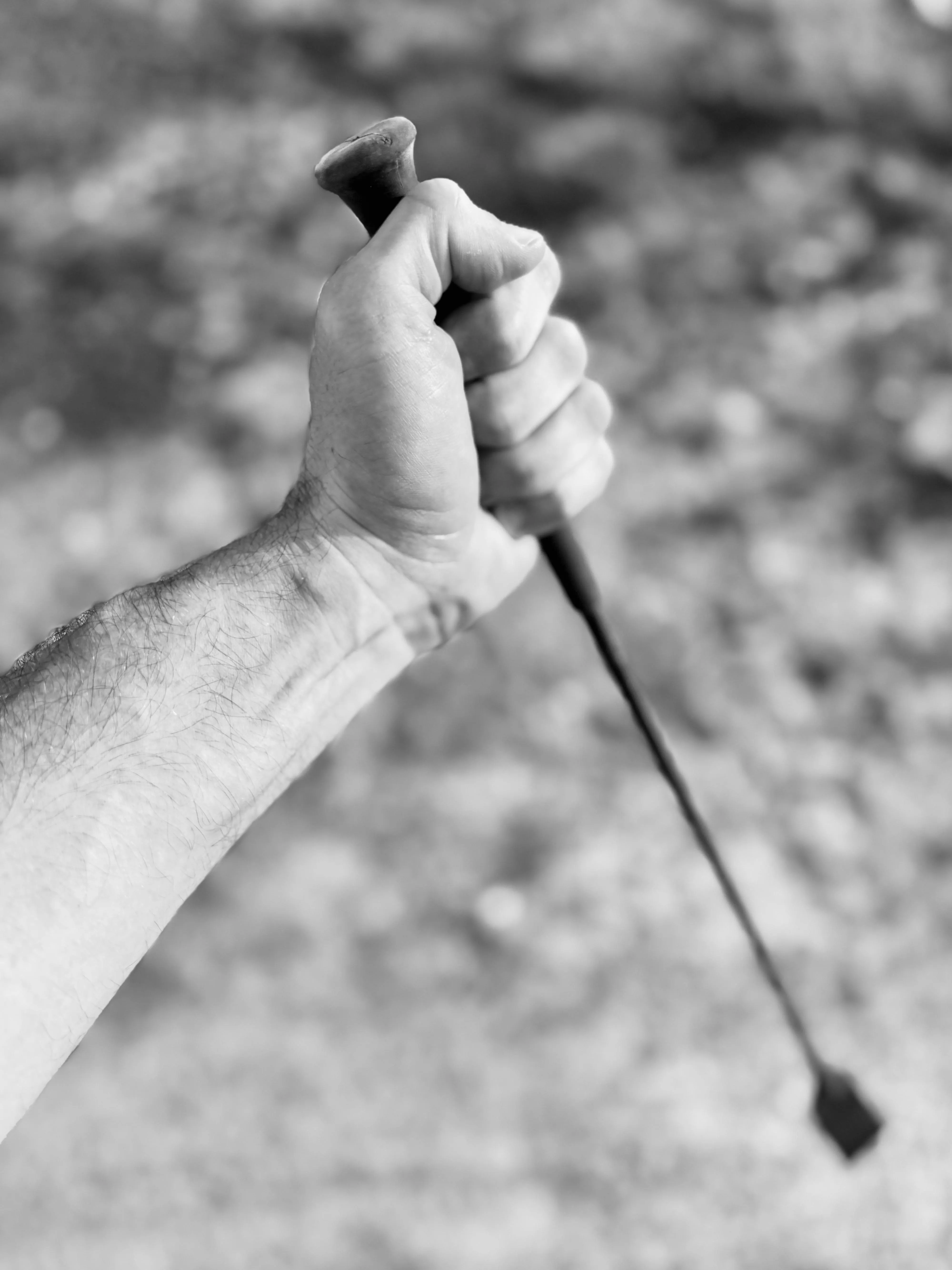 Picked up a crop… and now I’m thinking of all the bad girls who deserve it.