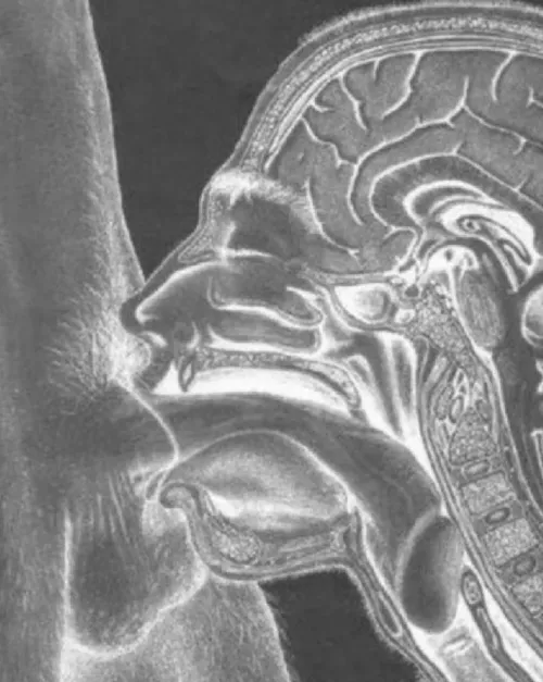 30 [M4R] #West Loop – Str8 guys only. BJ only. Watch straight porn while I work. Face pic required. Incentives available — ask for details.