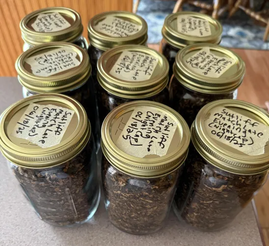 All jarred up and ready to cellar for a rainy day.