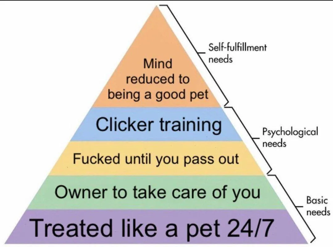 Pup hierarchy of needs