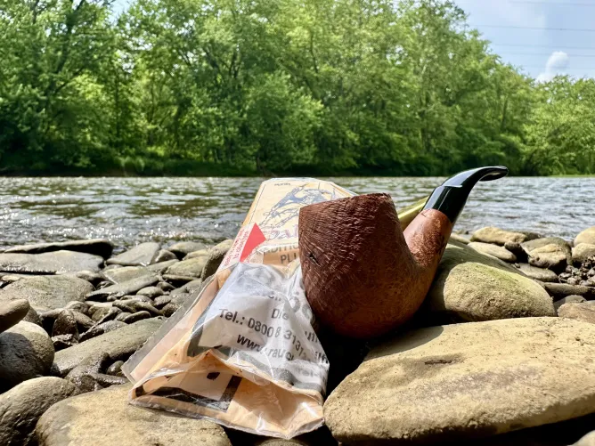 Salty Dogs by the Creek