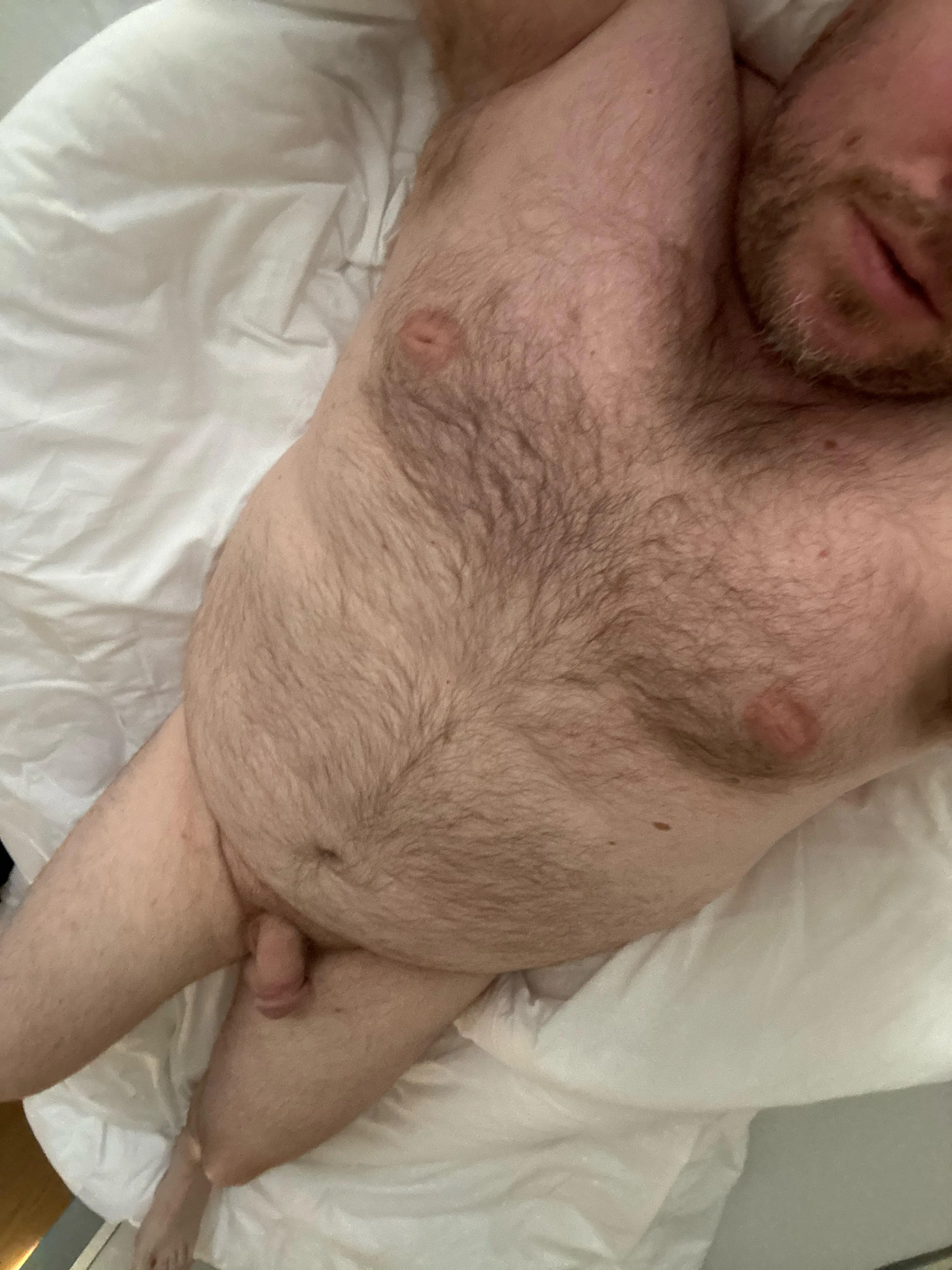 40 bear daddy.  Wake up next to me, boy.  DMs open