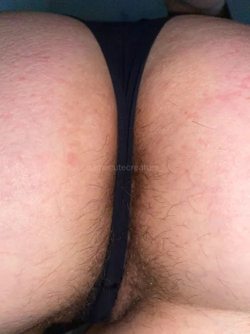 lick my asshole until it shines