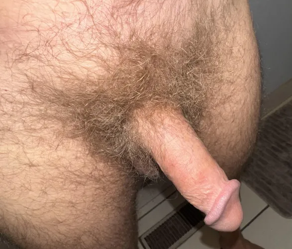 Semi hard, fully hairy