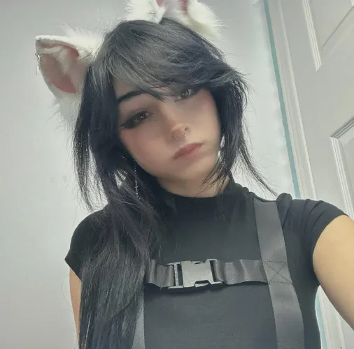 this kitty bites… but only if you stroke me the wrong way ;)