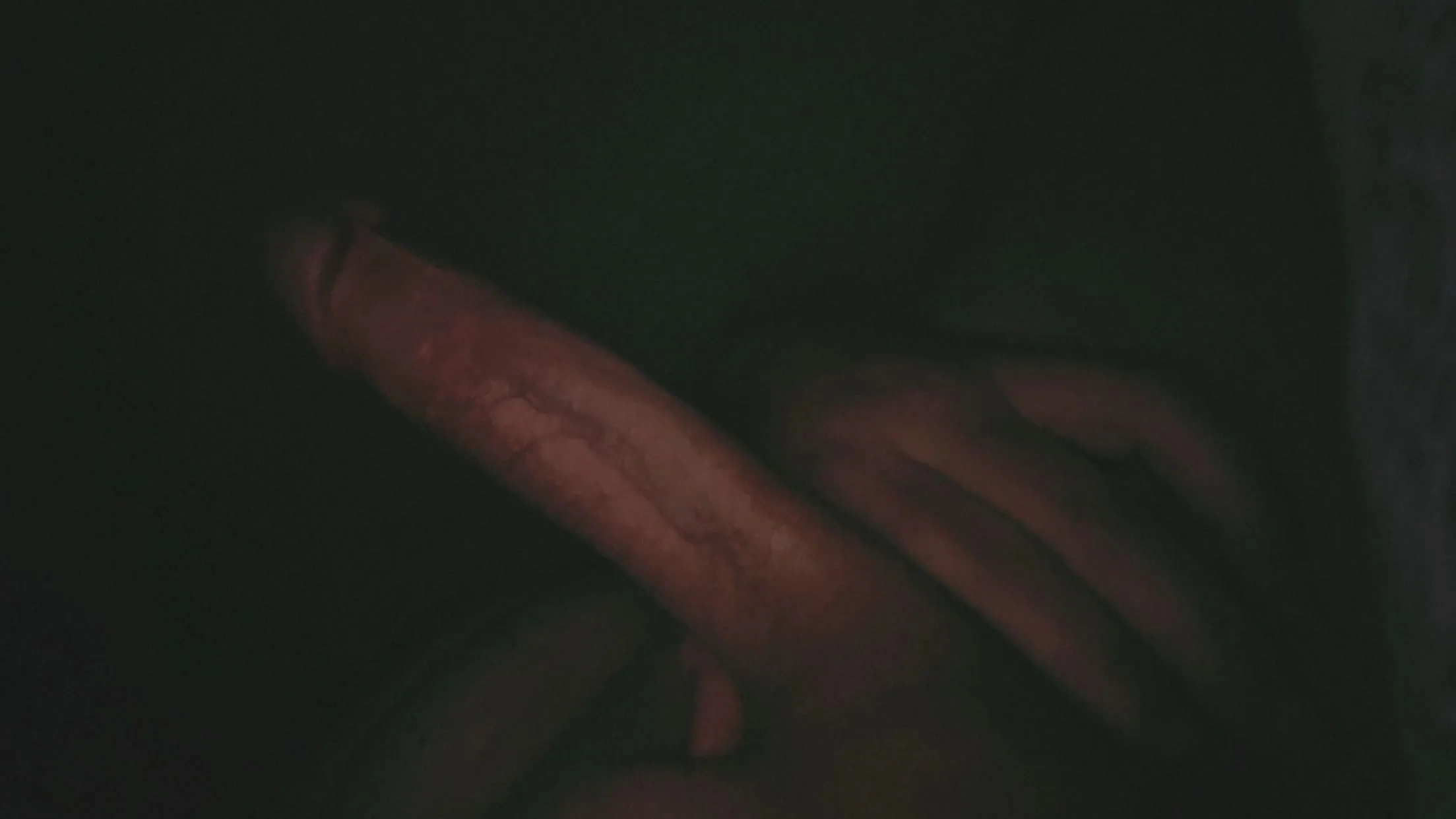 Zu klein oder genau perfekt? 😏