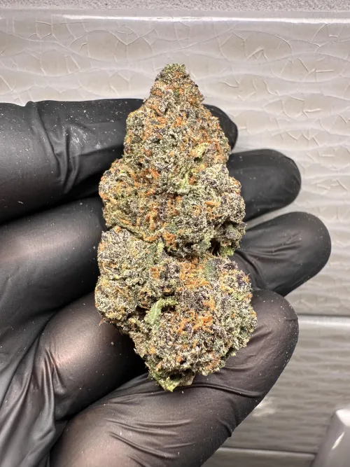 Blueberry Breeze 🫐🌬️downtown Dallas