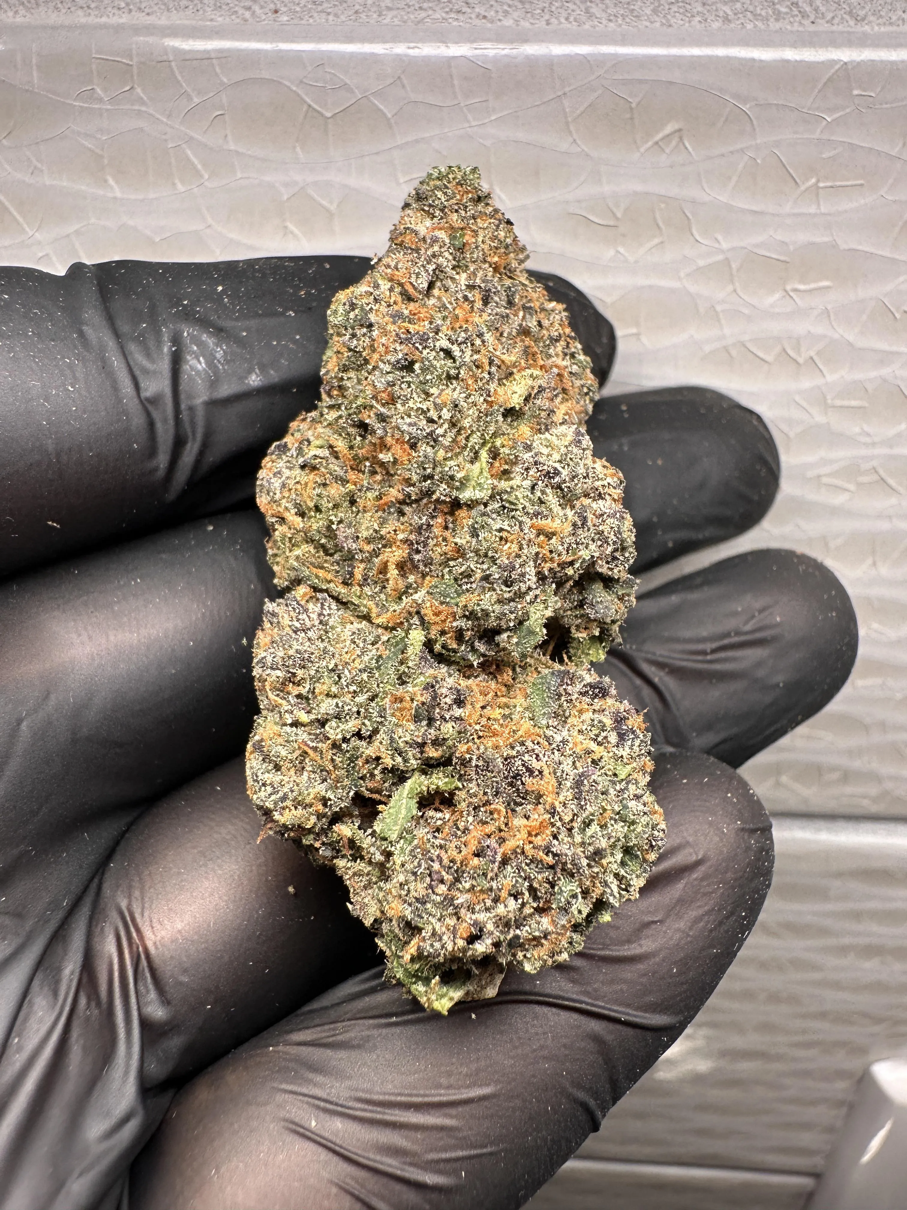 Blueberry Breeze 🫐🌬️downtown Dallas