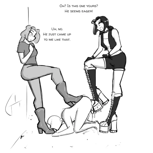 He's like a stray dog!