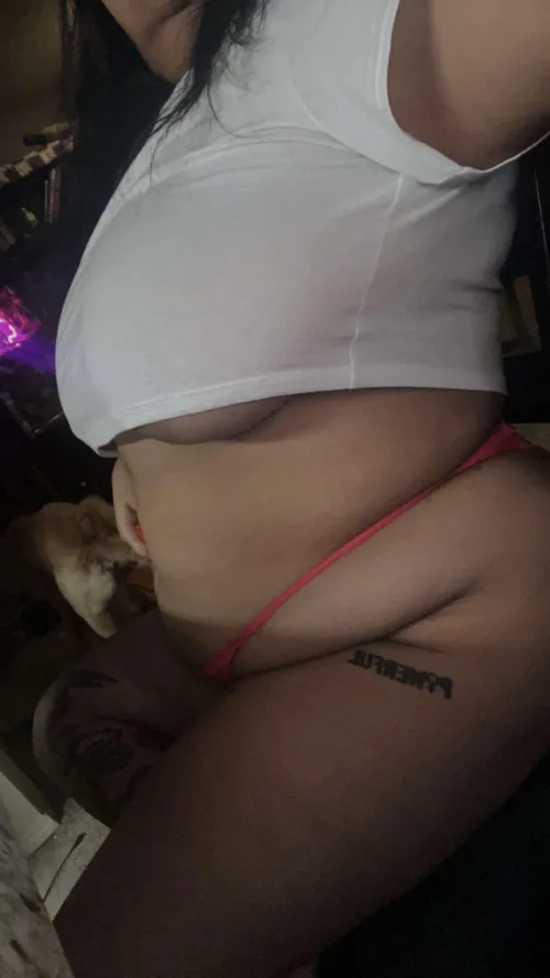 I know you love all this