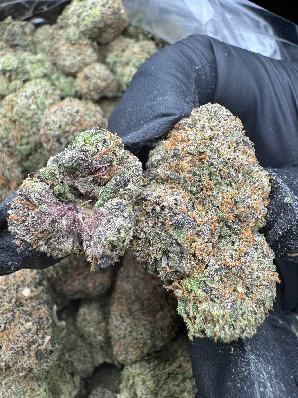 Irving/Valley Ranch 📍