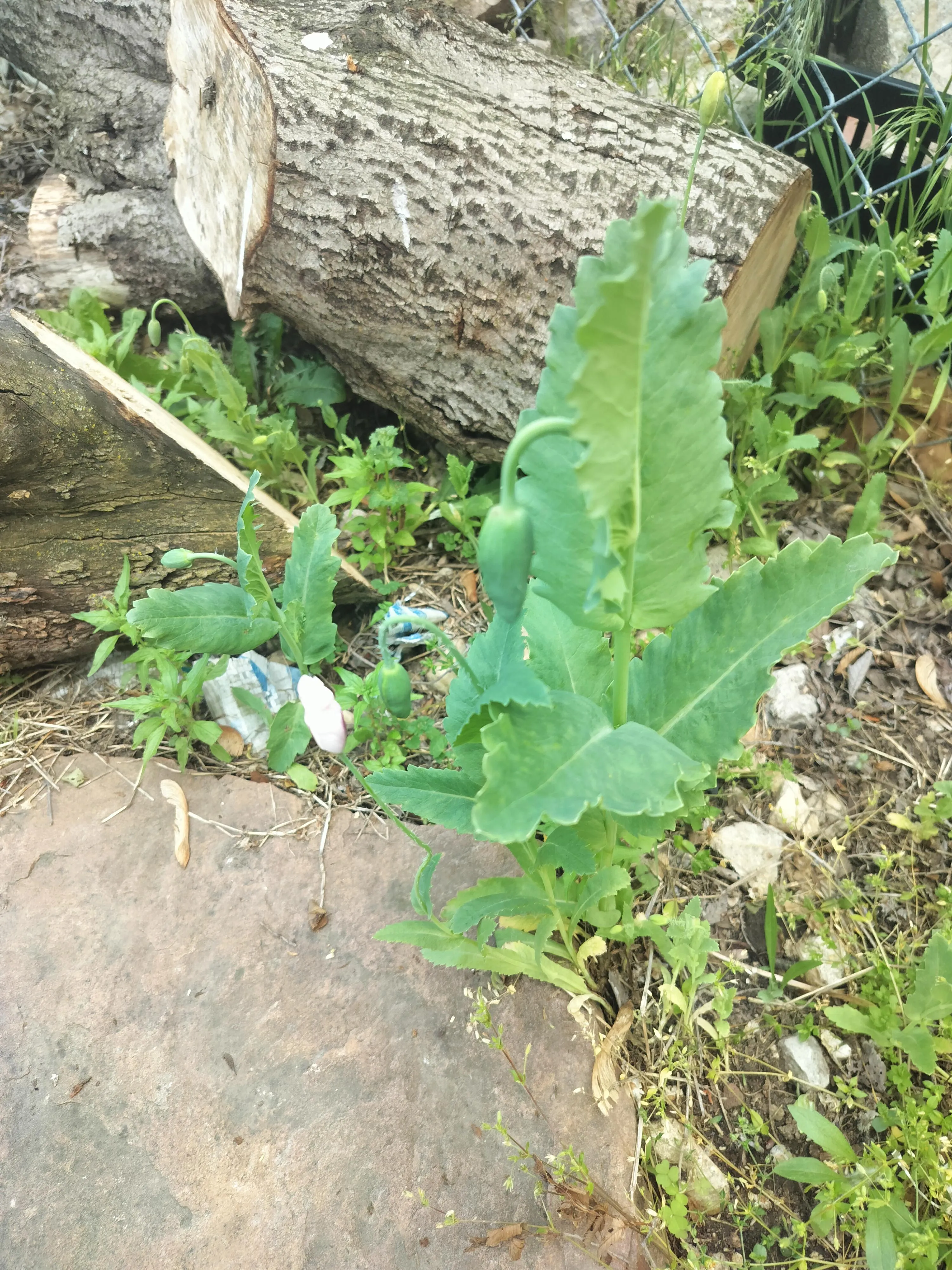 is it too early for this?