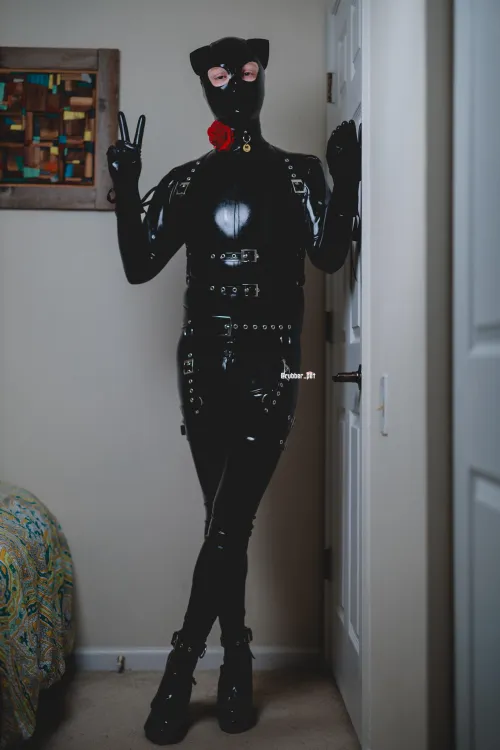 Kitty in a catsuit! 🐱