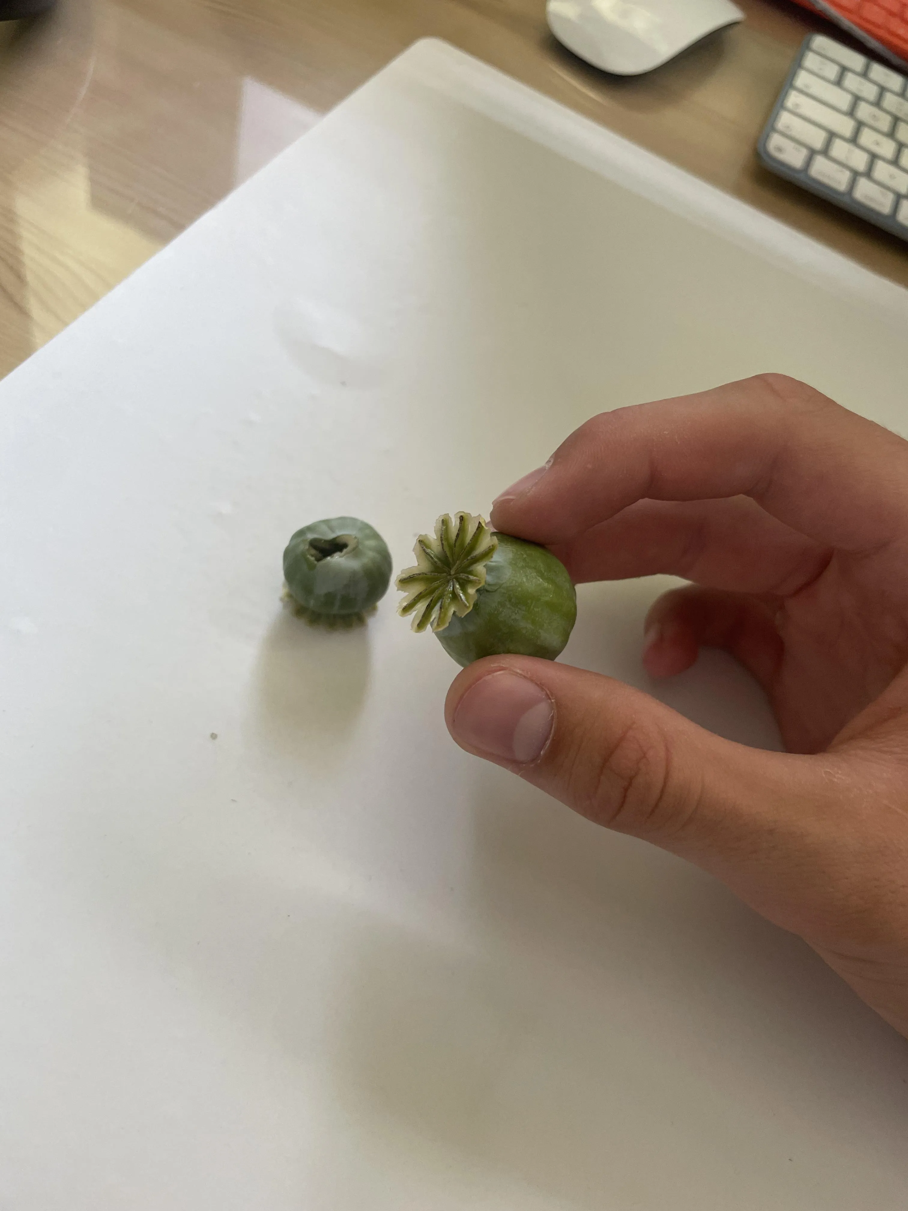 What should i do with these?