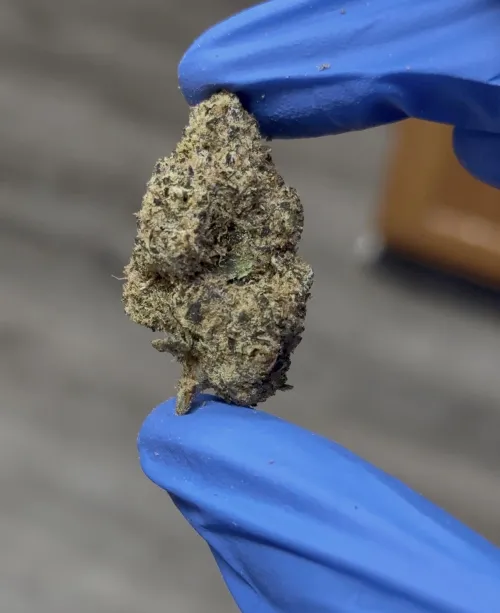 White Cherry Runtz DTX