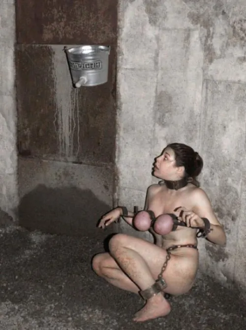 Left in its Dungeon to think about what it did wrong~