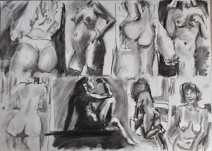 1.5 hours of nude coal sketching by me. Vote wich one you'd want me to draw!